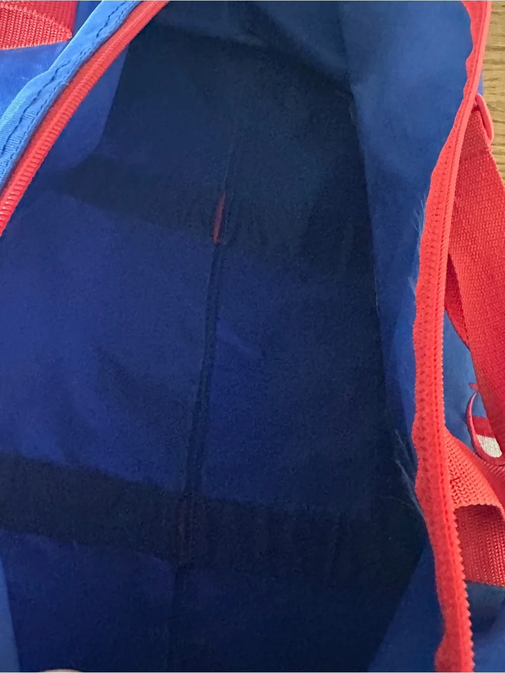 Vintage CHAMPION Duffle Bag Blue Red Spellout Gym Overnight Travel